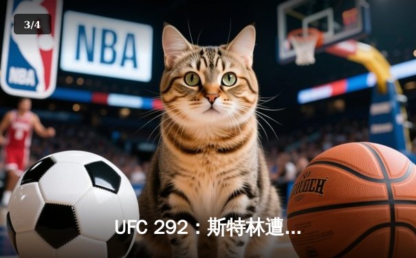 UFC 292：斯特林遭奥马利重拳KO，雏量级新王加冕 - 3